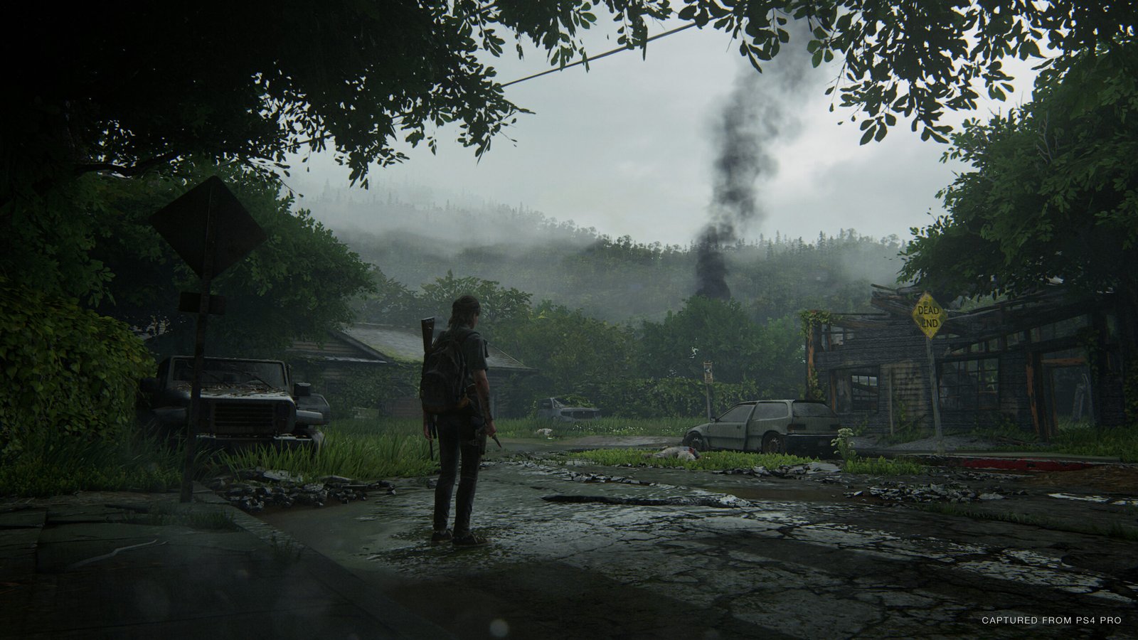 Imagem de The Last of Us